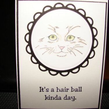 It&#039;s a hair ball kinda day.