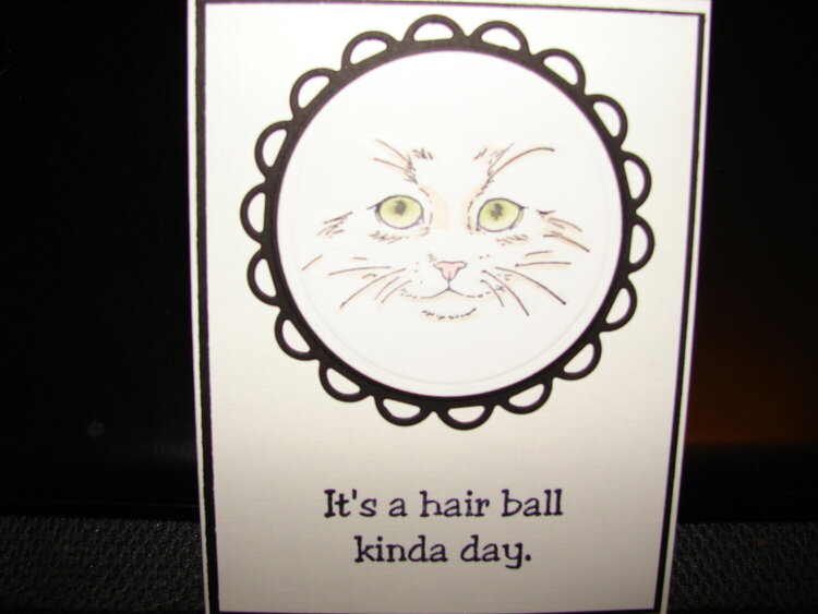 It&#039;s a hair ball kinda day.