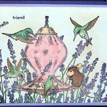 Hummingbirds and Mouse