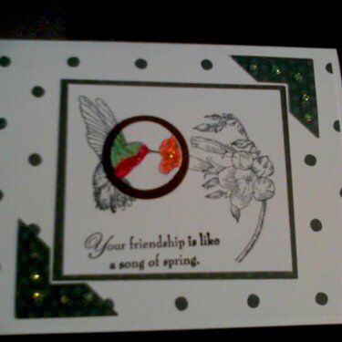 Hummingbird Snapshot