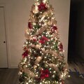 2021 Christmas tree