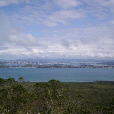 The view from Rangitoto