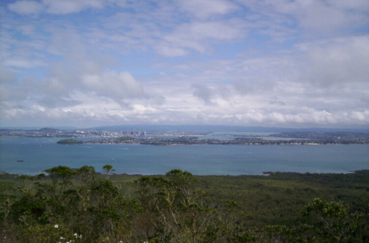 The view from Rangitoto