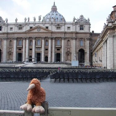 Kiwi in Italy - Vatican City