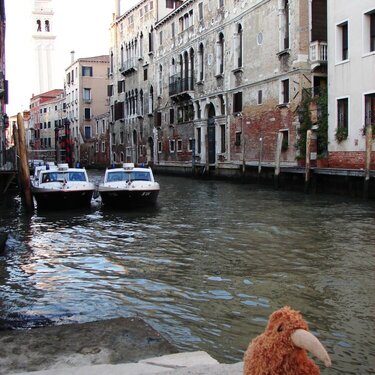 Kiwi in Italy - Venice
