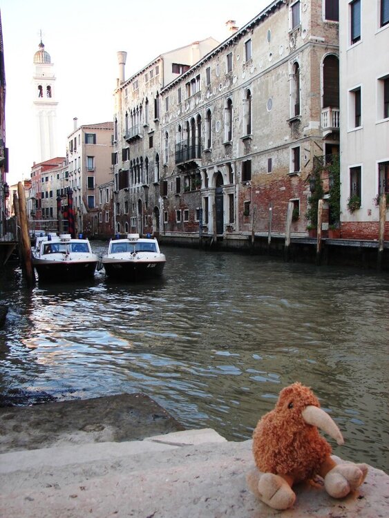 Kiwi in Italy - Venice