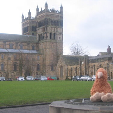 Kiwi in front of Durham Cathedral