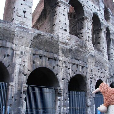 Kiwi in Italy - outside Colosseum