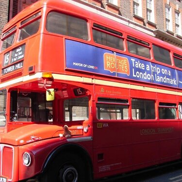 Kiwi in London - Double Decker Bus