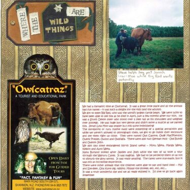 Owlcatraz - 1 of 3