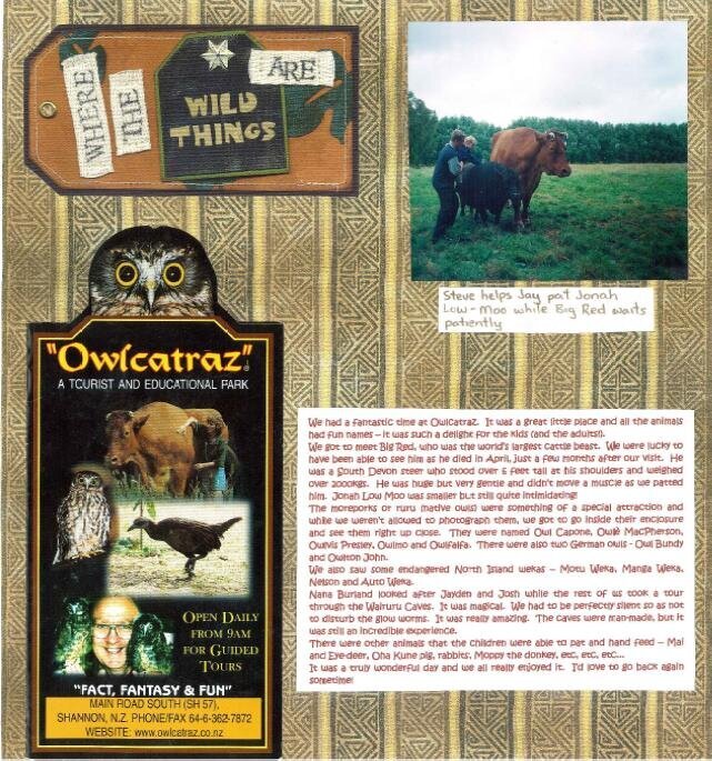 Owlcatraz - 1 of 3