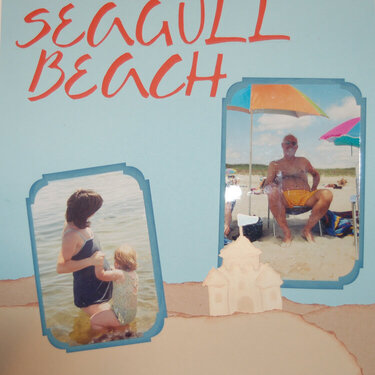 Seagull Beach - I