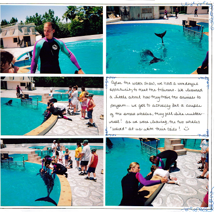 page 36 - Sea World - meeting the dolphins