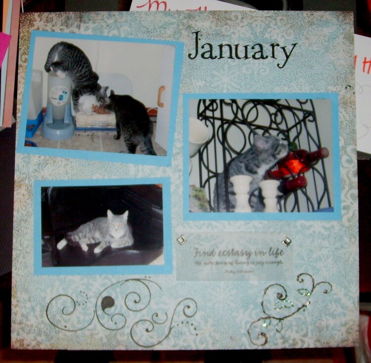 January-Calendar Page