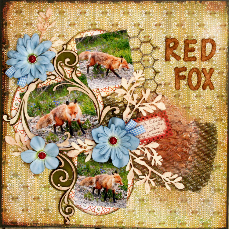 Red Fox - Sketches Creatively Yours