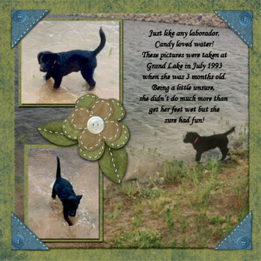 Candy&#039;s memorial page 5