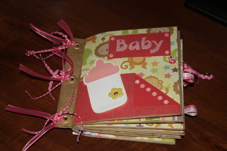 Baby girl lunch bag mini-album