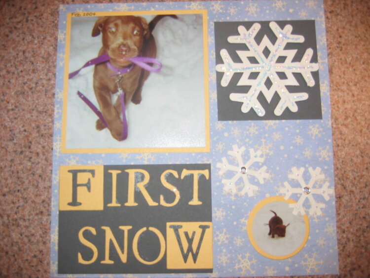 Doggie&#039;s First Snow