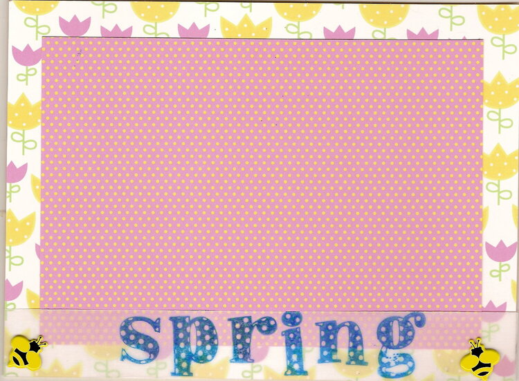 Yellow Spring Photo Mats