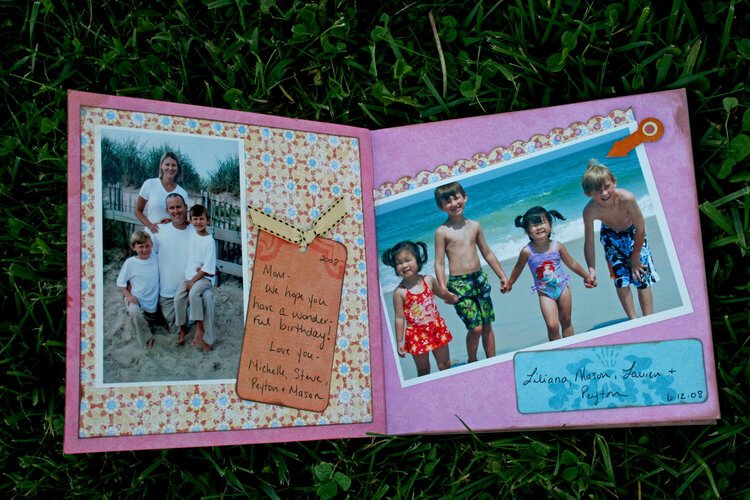 at the Beach 2008 ~ mini album