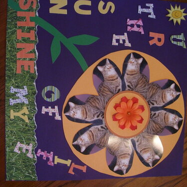 U R The Sunshine of My Life