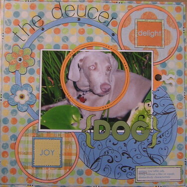 The Deucer Dog