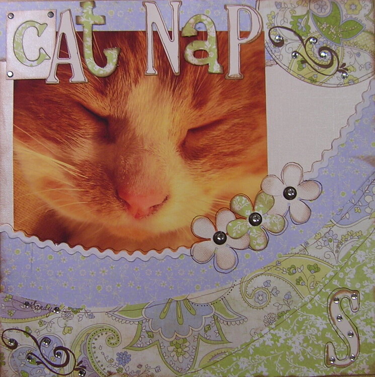 Cat Nap