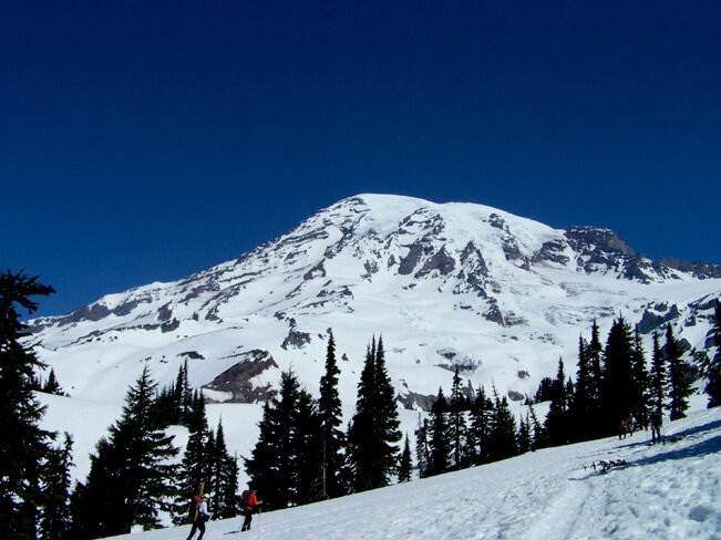 Mt. Rainier from Paradise