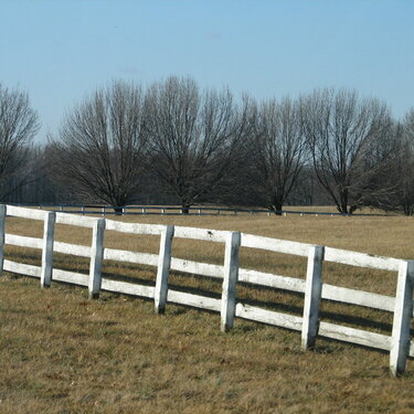 14. White PicketFence (7pts) March/April Photo Hunt