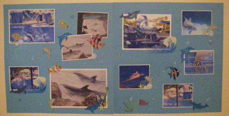 &quot;Dolphins 2 Page&quot;