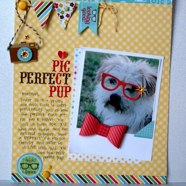 Pic Perfect Pup new Day to Day Collection from Doodlebug Design