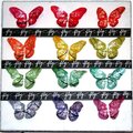Butterflies on canvas