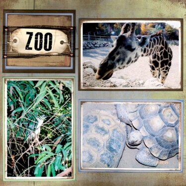Zoo Trip p1
