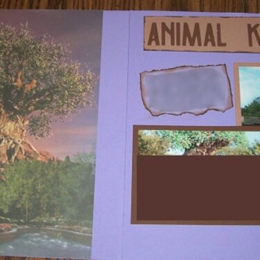 Animal Kingdom Intro Page
