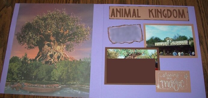 Animal Kingdom Intro Page