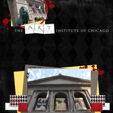 The art institute of Chicago