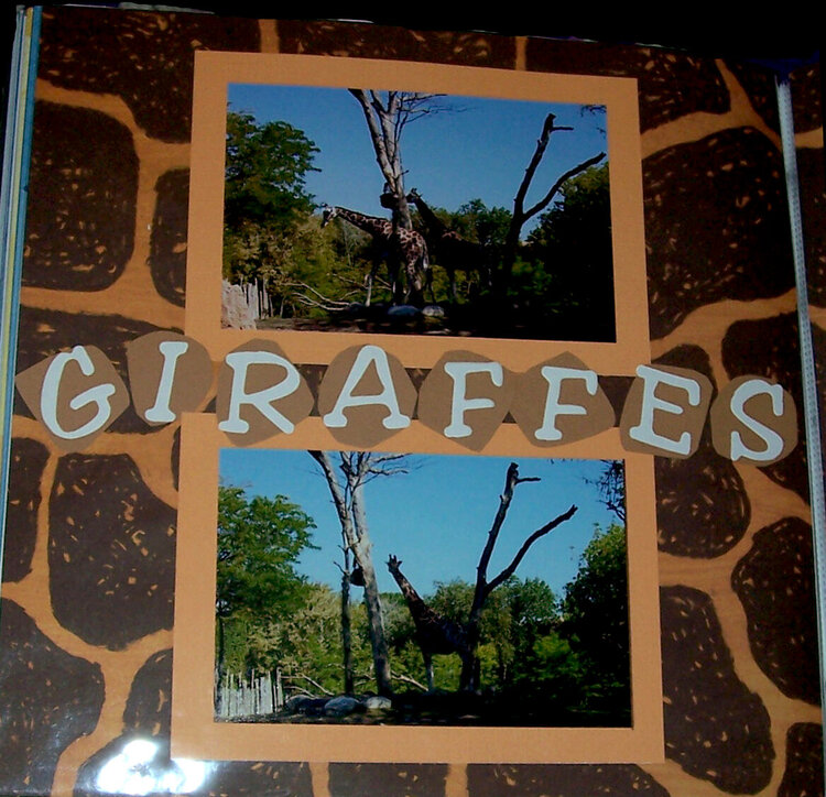 Giraffes (Lincoln Park Zoo)
