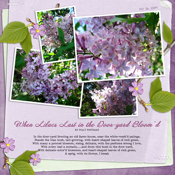 When lilacs last bloom&#039;d