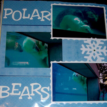 Polar Bears (Lincoln Park Zoo)