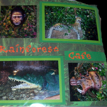 Dinner at Rainforest Cafe