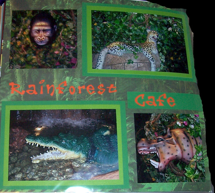 Dinner at Rainforest Cafe