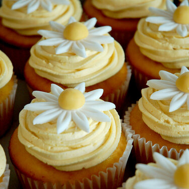 Daisy Jumbo Cupcakes for Daisy Theme Birthday Party