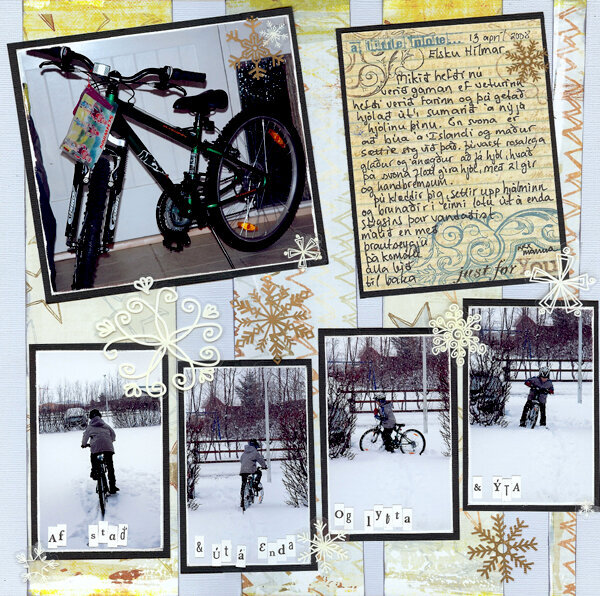 Snow bike