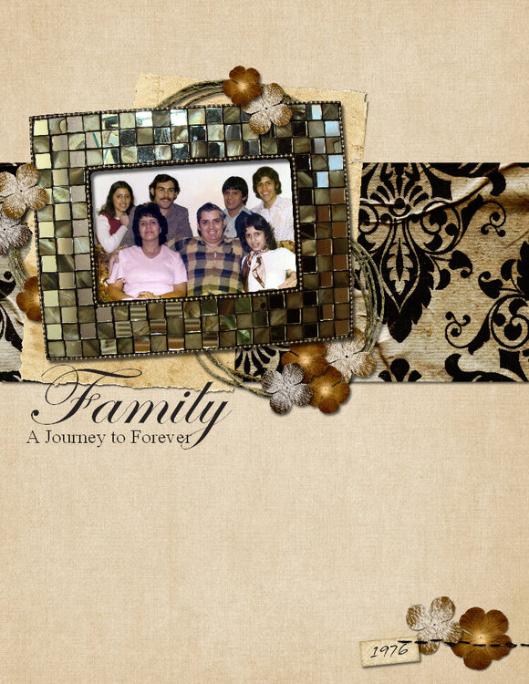 Family-A Journey to Forever