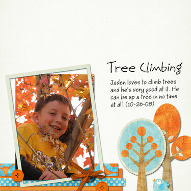 Tree Climbing