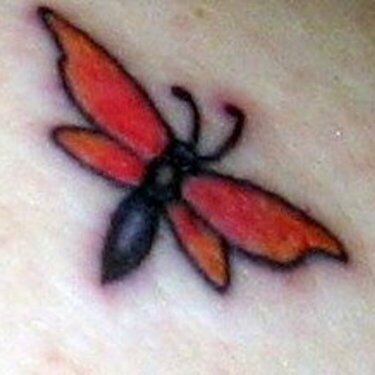 Dragon fly tatoo