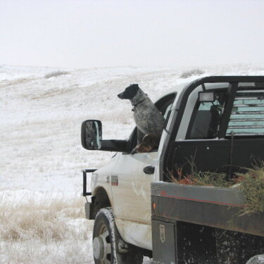 Vesta and Boyd waiting to go to work