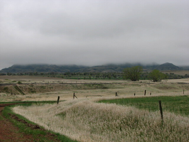 Fog over the Butte