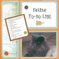 Feline To-Do List