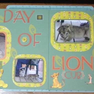 A Day with a Lion